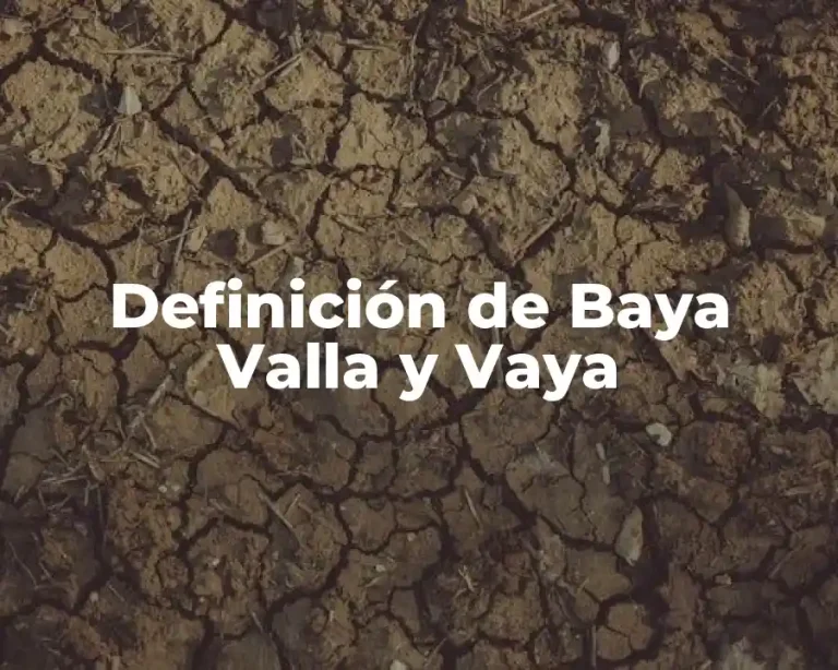Definición de Baya Valla y Vaya