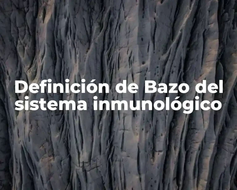Definición de Bazo del sistema inmunológico