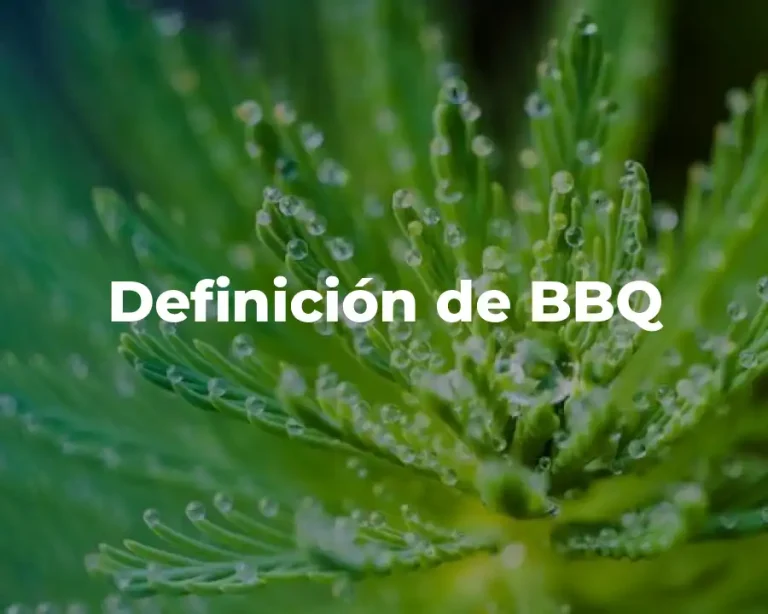 Definición de BBQ