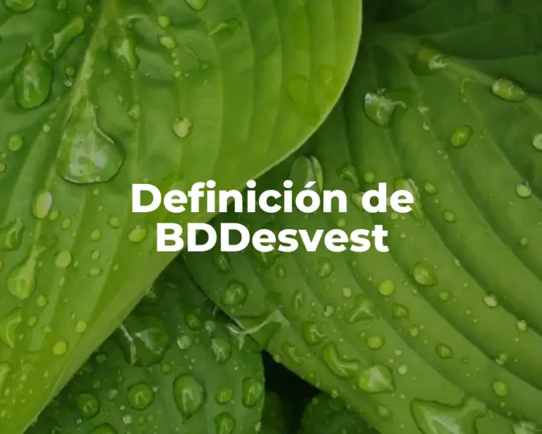 Definición de BDDesvest