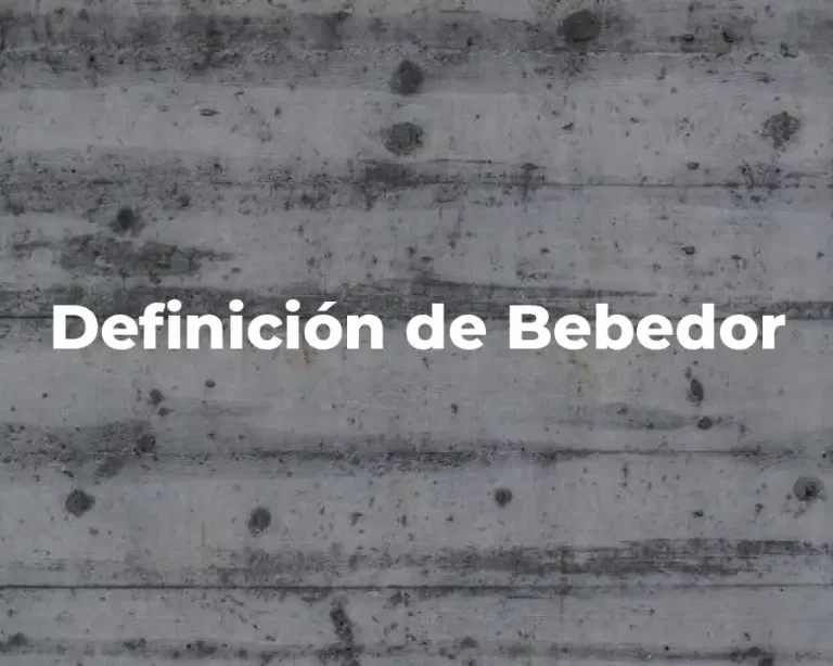 Definición de Bebedor