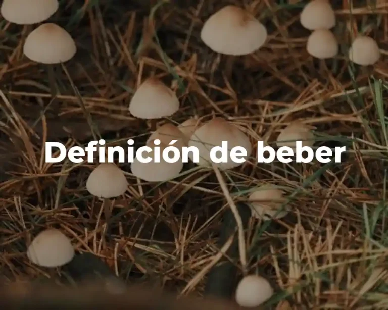 Definición de beber