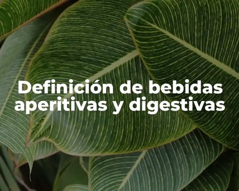 Definición de bebidas aperitivas y digestivas