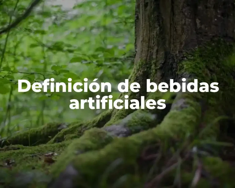 Definición de bebidas artificiales