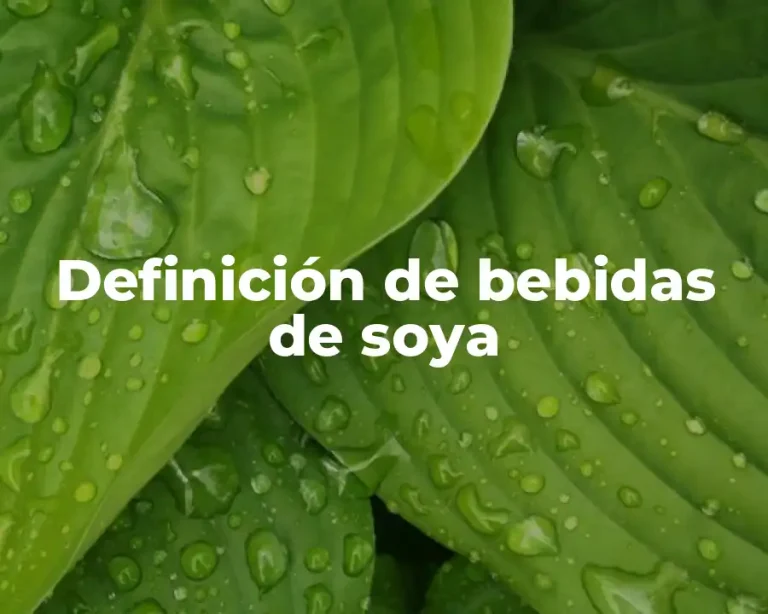 Definición de bebidas de soya