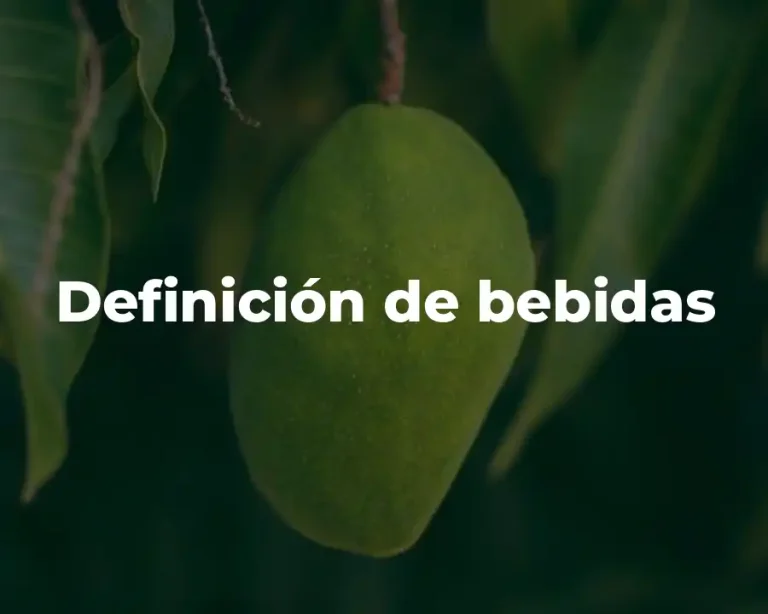 Definición de bebidas