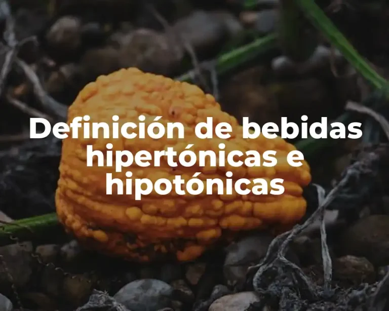 Definición de bebidas hipertónicas e hipotónicas