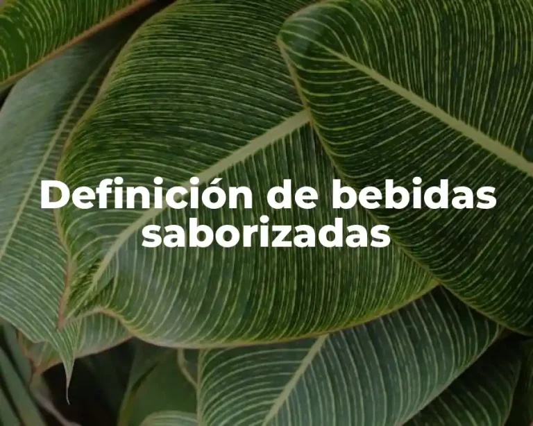 Definición de bebidas saborizadas