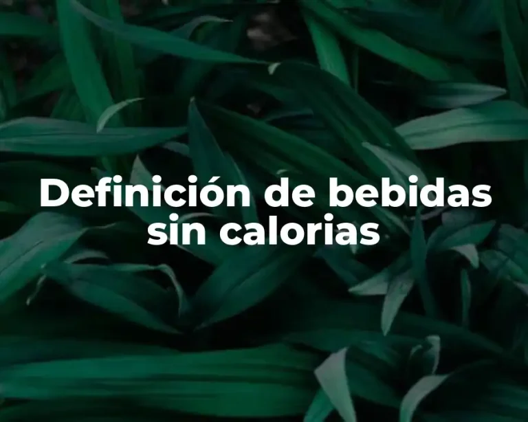 Definición de bebidas sin calorias