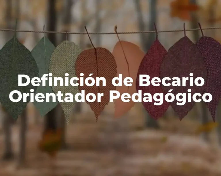Definición de Becario Orientador Pedagógico