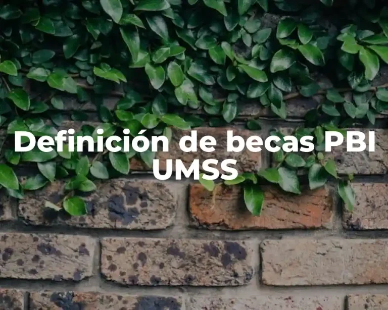 Definición de becas PBI UMSS