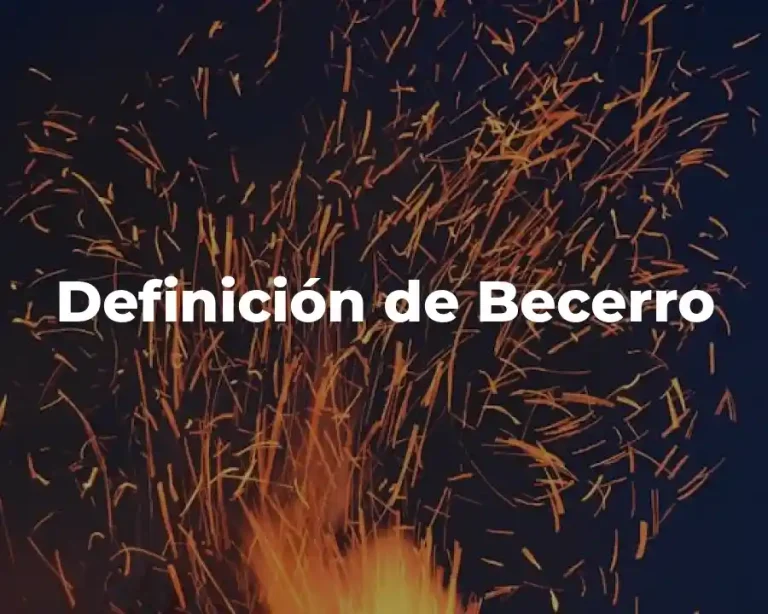 Definición de Becerro