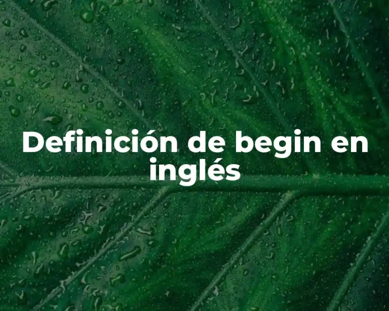 Definición de begin en inglés