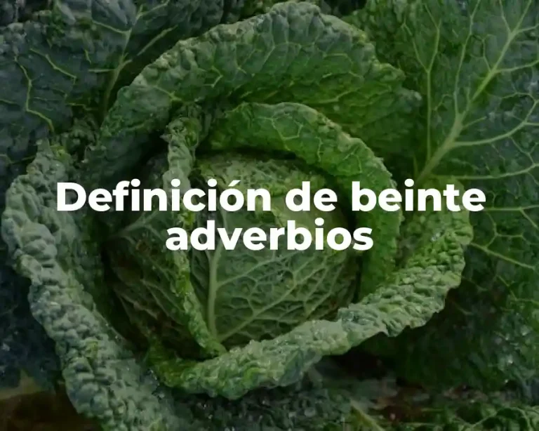 Definición de beinte adverbios