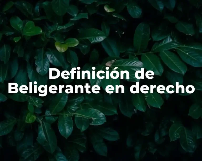 Definición de Beligerante en derecho