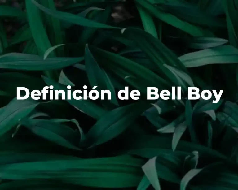 Definición de Bell Boy