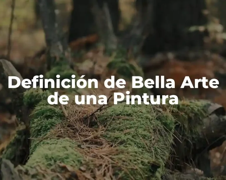 Definición de Bella Arte de una Pintura