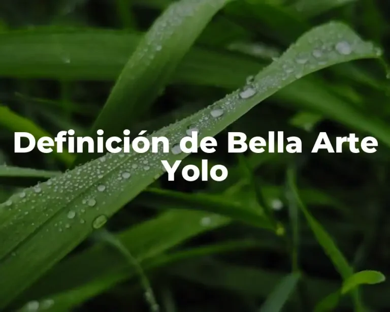 Definición de Bella Arte Yolo