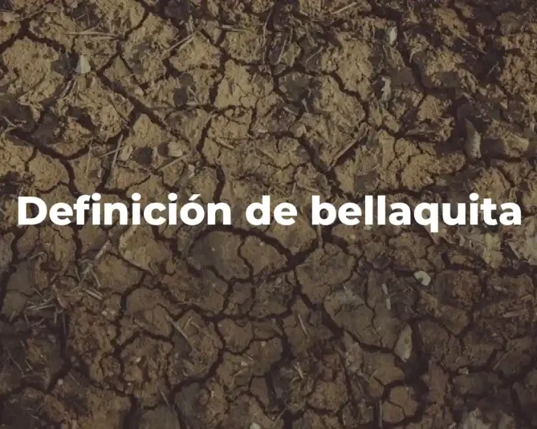 Definición de bellaquita