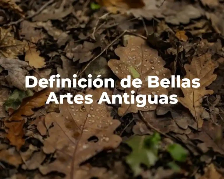 Definición de Bellas Artes Antiguas