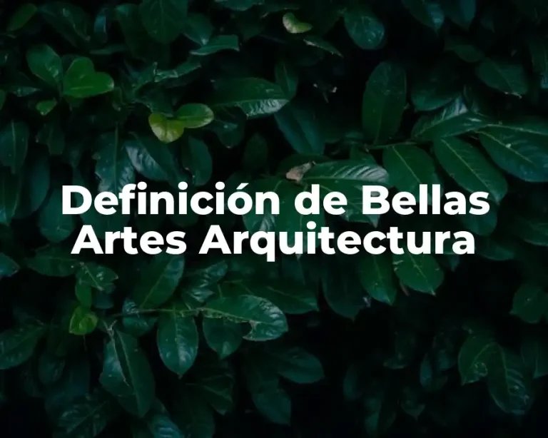Definición de Bellas Artes Arquitectura