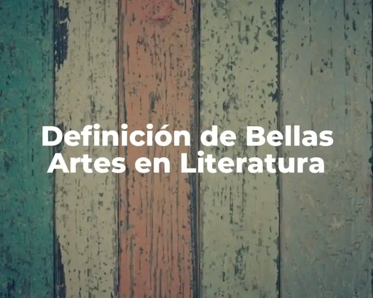 Definición de Bellas Artes en Literatura