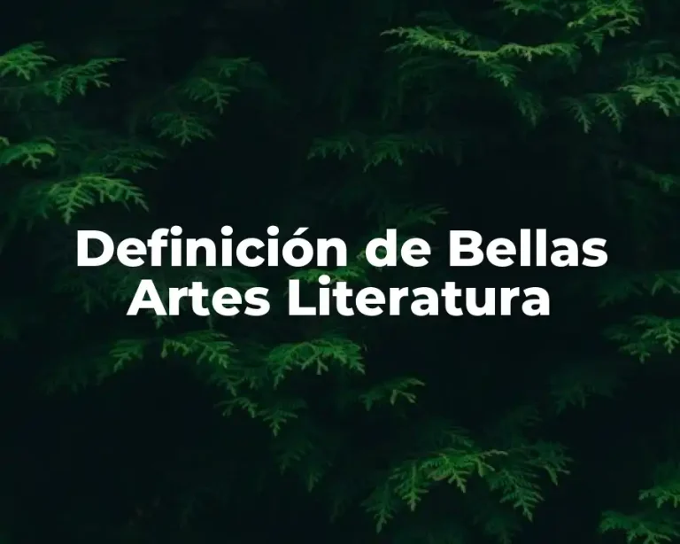 Definición de Bellas Artes Literatura