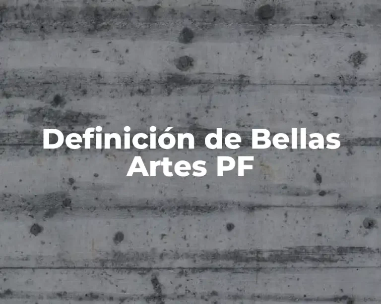 Definición de Bellas Artes PF