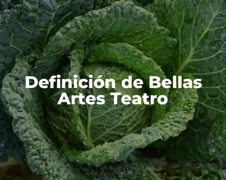 Definición de Bellas Artes Teatro