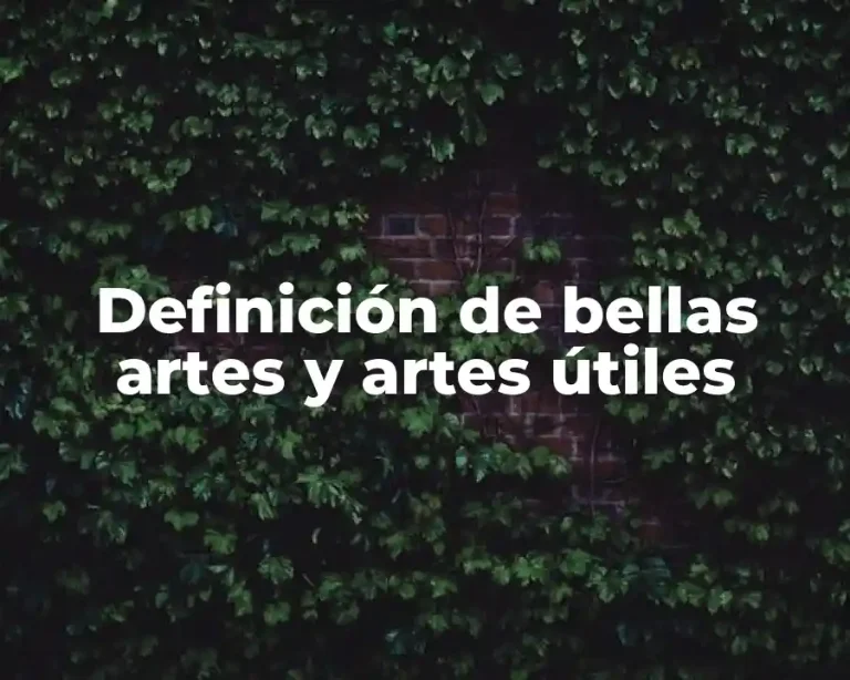 Definición de bellas artes y artes útiles