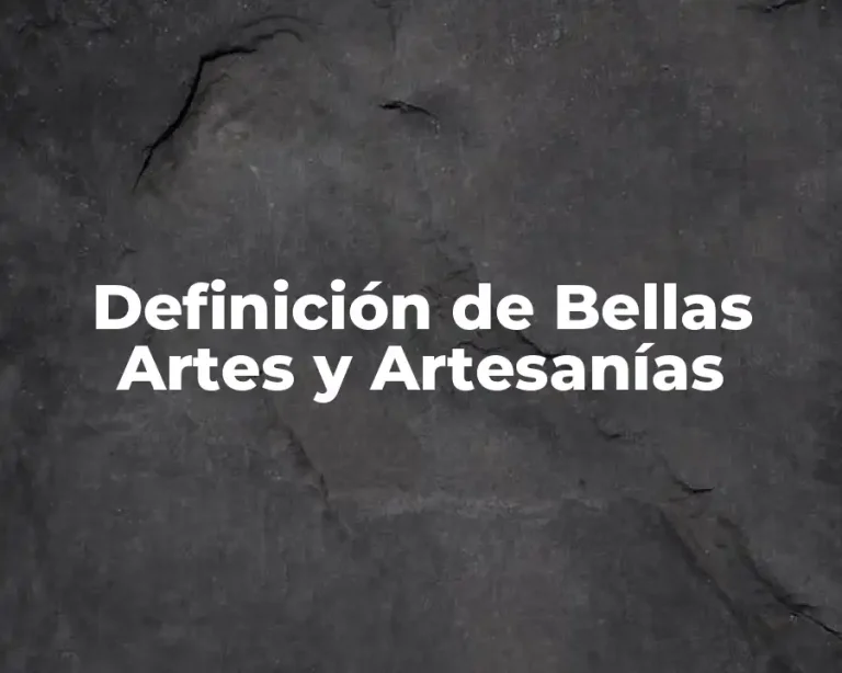 Definición de Bellas Artes y Artesanías