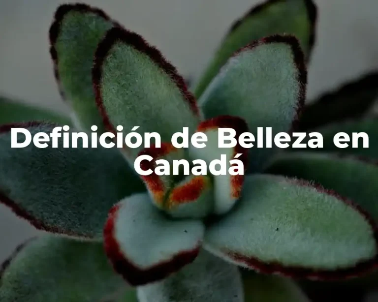 Definición de Belleza en Canadá