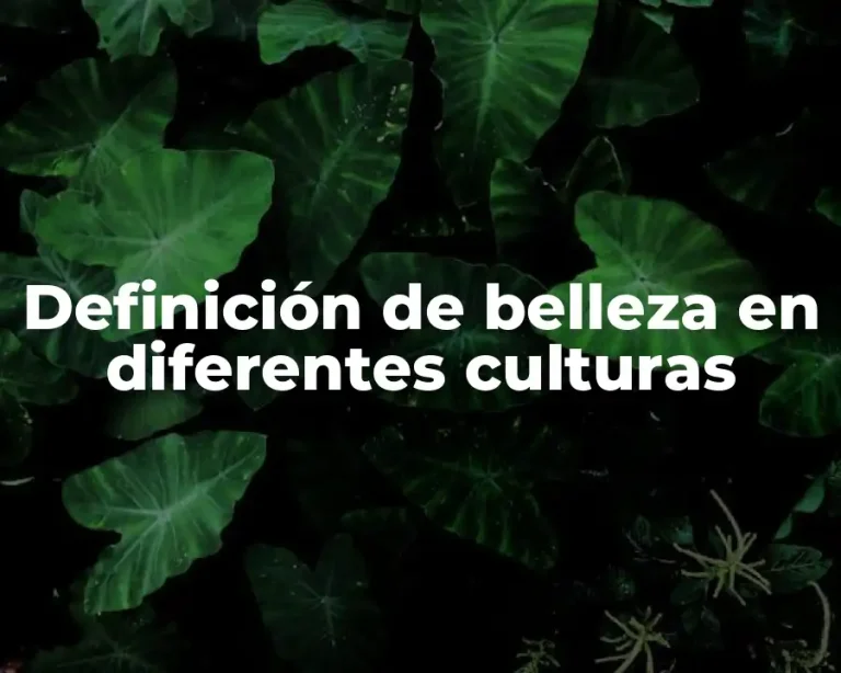 Definición de belleza en diferentes culturas