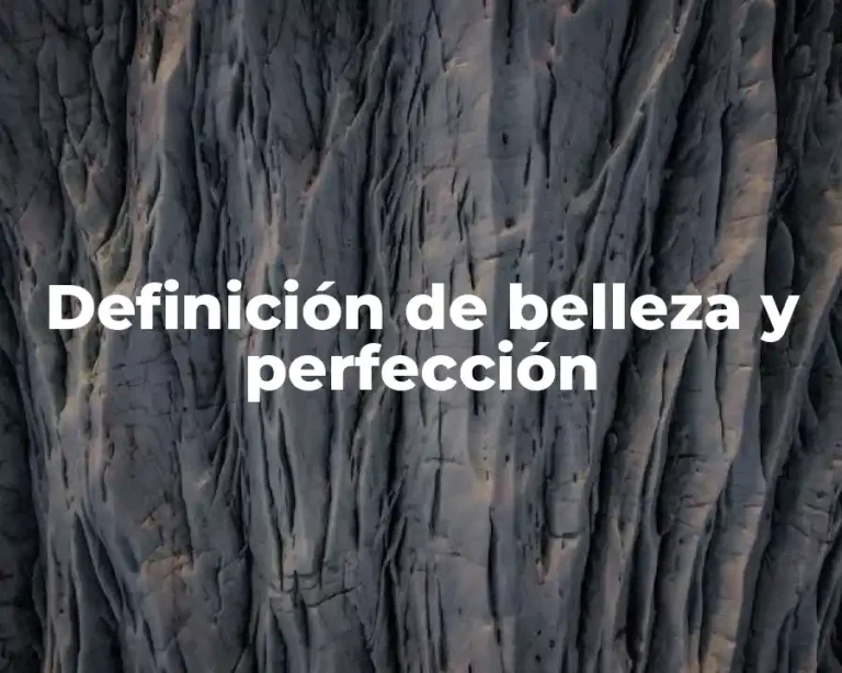 Definición de belleza y perfección