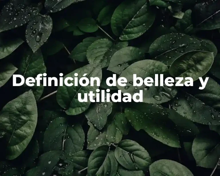 Definición de belleza y utilidad