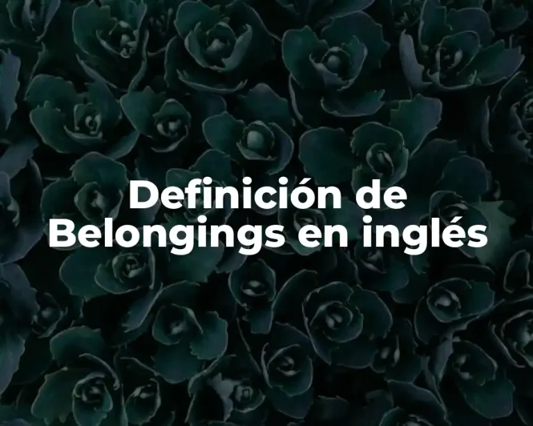 Definición de Belongings en inglés