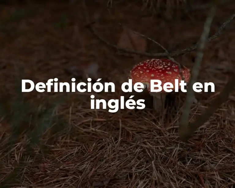 Definición de Belt en inglés