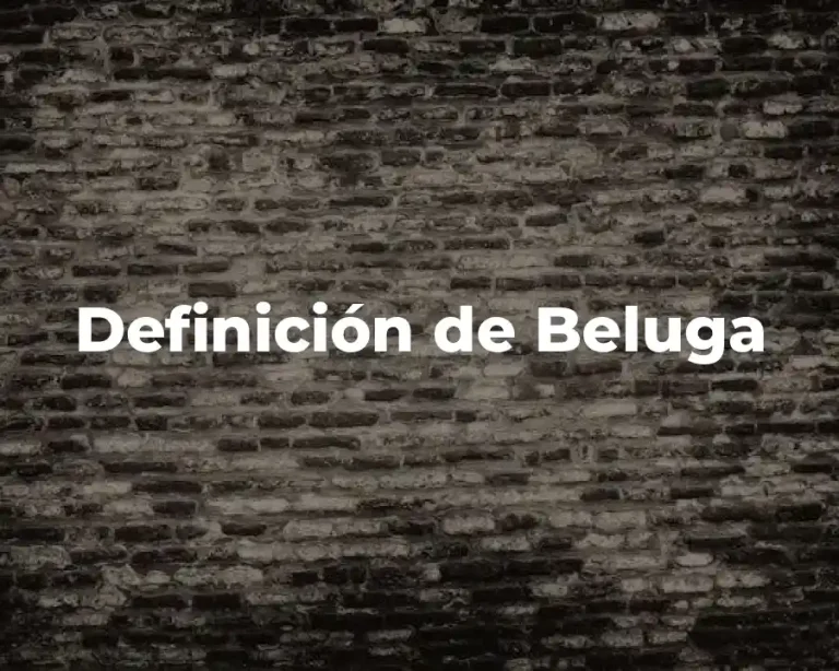 Definición de Beluga
