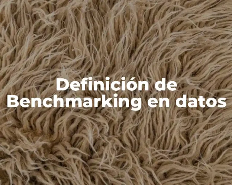 Definición de Benchmarking en datos