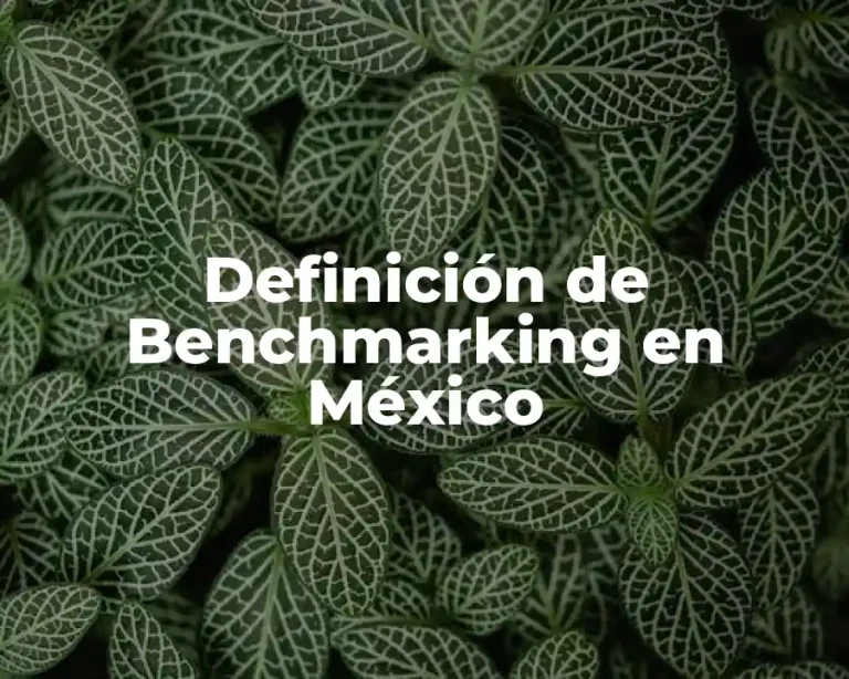 Definición de Benchmarking en México