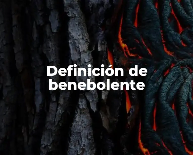 Definición de benebolente