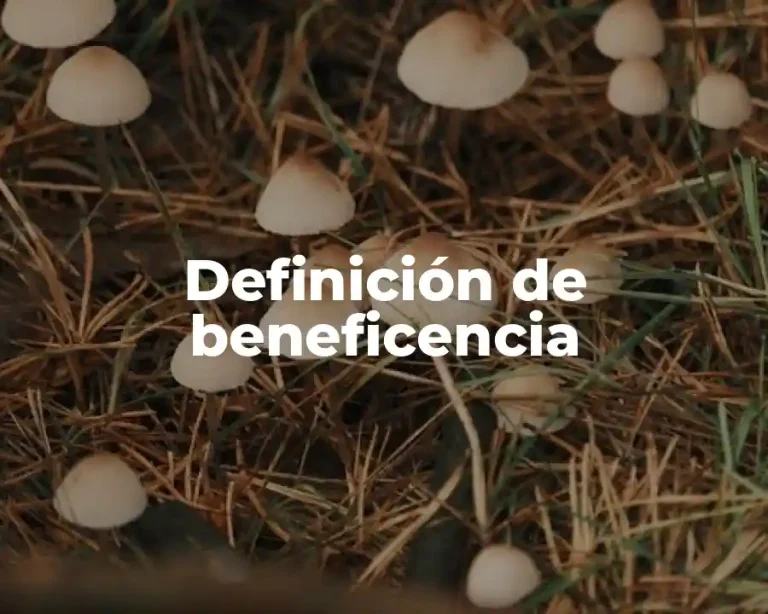 Definición de beneficencia