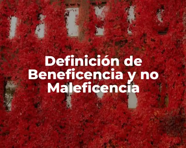 Definición de Beneficencia y no Maleficencia