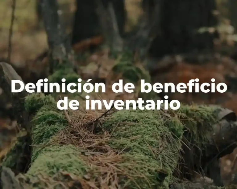 Definición de beneficio de inventario