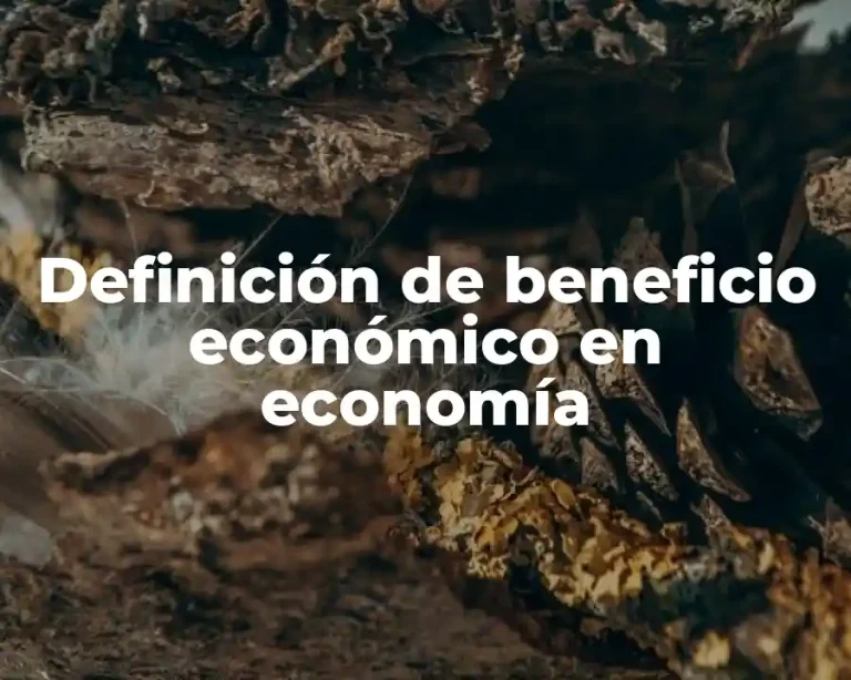 Definición de beneficio económico en economía