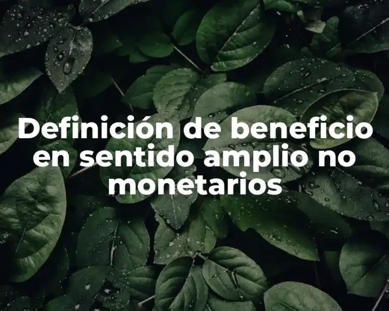 Definición de beneficio en sentido amplio no monetarios
