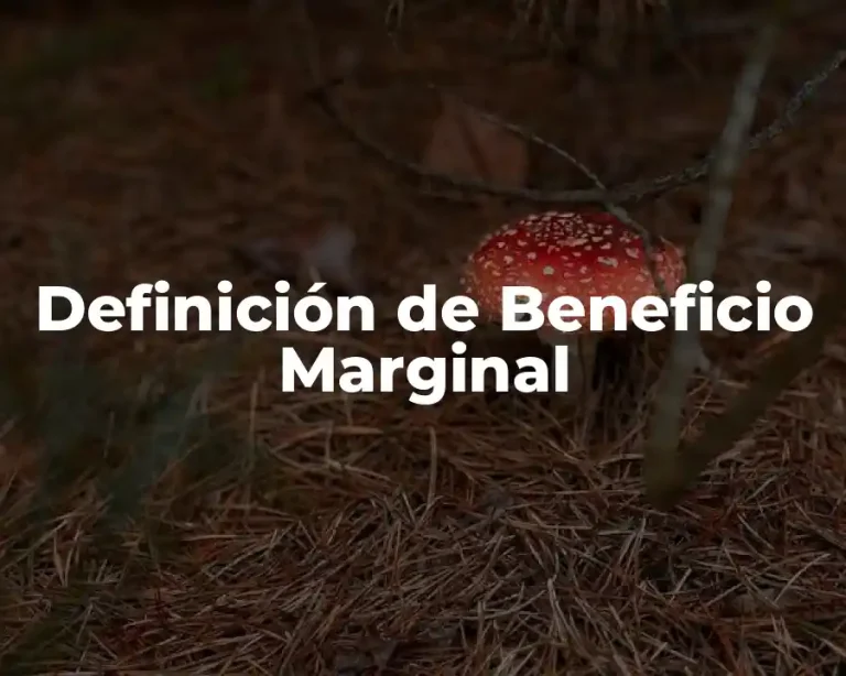 Definición de Beneficio Marginal