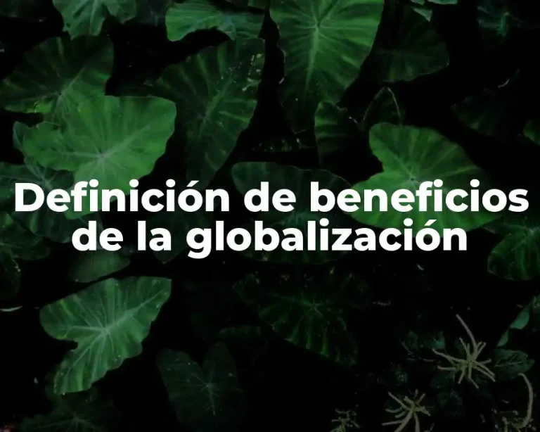 Definición de beneficios de la globalización