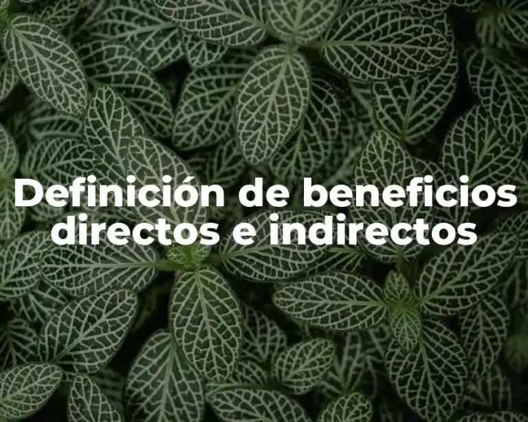 Definición de beneficios directos e indirectos