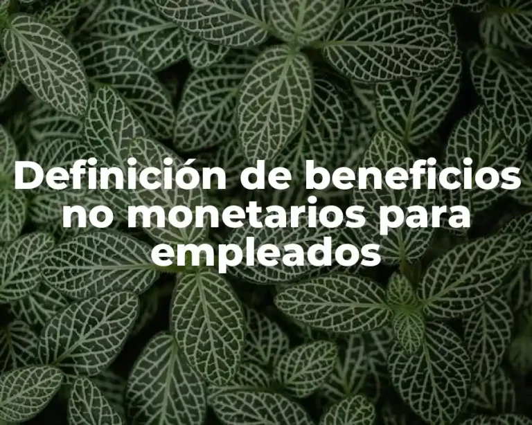 Definición de beneficios no monetarios para empleados